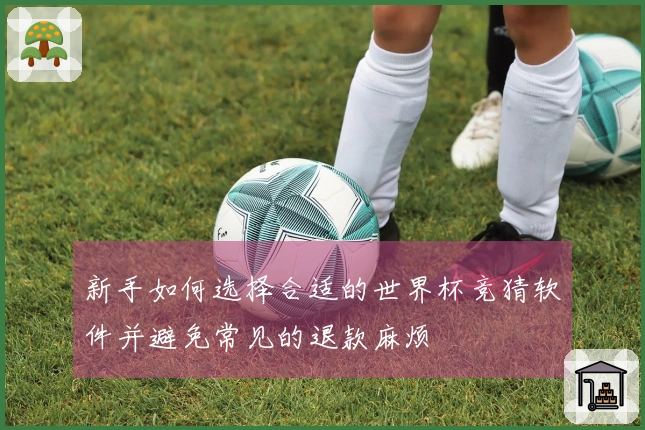 新手如何选择合适的世界杯竞猜软件并避免常见的退款麻烦